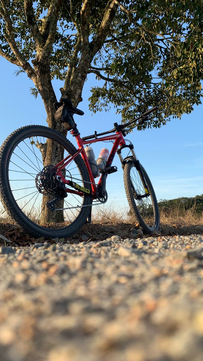 Como Pedalar com Segurança 