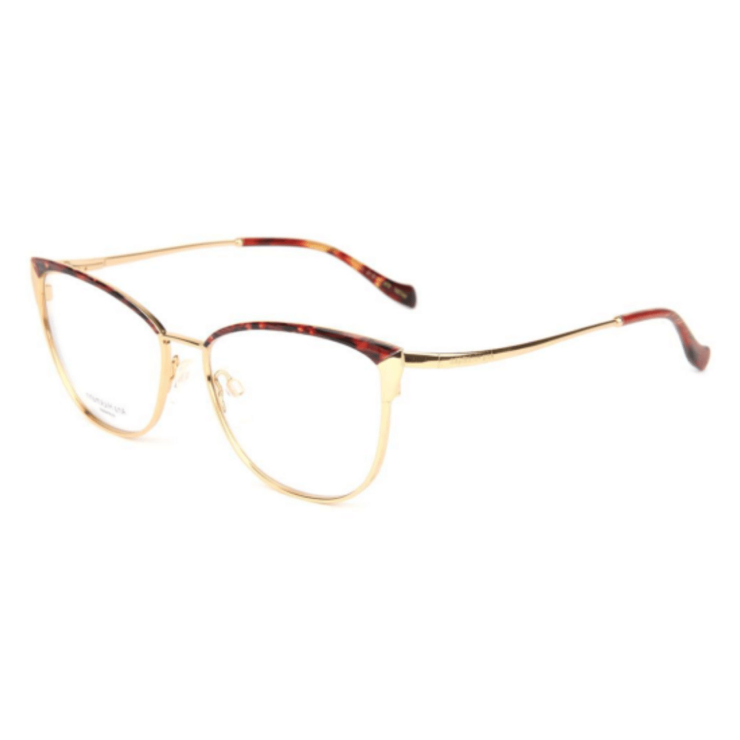 ARMAÇÃO ANA HICKMANN FEMININA AH1367 07A